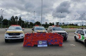 Mega operação apreende cerca de 700 kg de maconha na BR-282