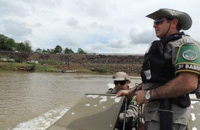 Piracema: período de reprodução dos peixes traz restrições à pesca