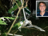 Avião de pequeno porte cai e mata piloto em Concórdia
