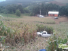 Carro desgovernado invade plantação e atropela agricultor