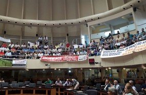 Suinocultores cobram alternativas em audiência pública