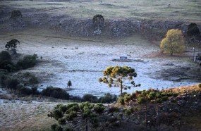 Semana começa com geada e temperaturas negativas