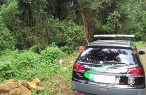 Corpo esquartejado é encontrado no interior de Concórdia