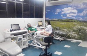 Torcedores do Palmeiras doam sangue no Hemosc