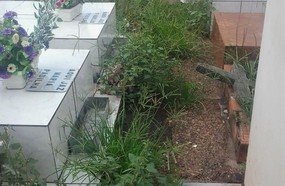Abandono: veja como está o cemitério de Herval