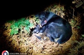 Policial militar se solidariza e adota cachorro abandonado