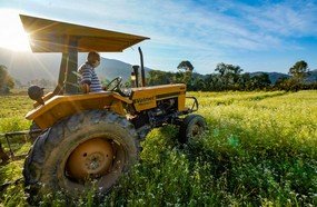 Estado investe R$ 36,9 milhões em apoio ao setor agropecuário
