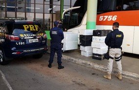 PRF apreende 350 kg de pescados em ônibus, sem refrigeração