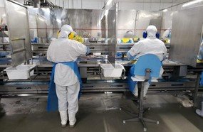 Mantida portaria com medidas de prevenção em frigoríficos