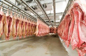 Estado bate recorde histórico nas exportações de carne suína