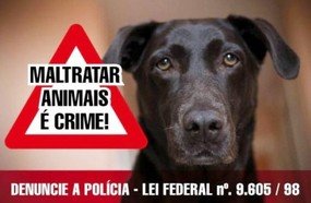 Câmara aumenta pena de maus-tratos contra animais