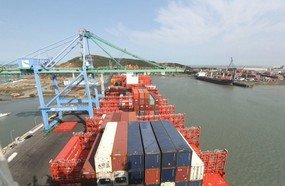 Santa Catarina lidera exportações nacionais de carne suína