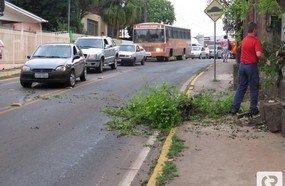 Vendaval derruba árvores e destelha casas em Joaçaba e Herval