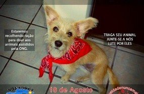 Manifestação 