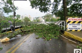 Vendaval derruba árvores e destelha casas em Joaçaba e Herval