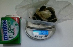 Mais um jovem preso por tráfico de drogas em Joaçaba