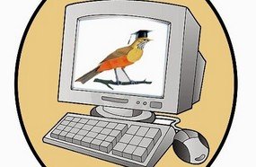 Escola desenvolve jogo educativo para fixação de conteúdos