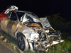 Animais na pista causam acidente na BR-282, em Campos Novos