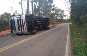 Caminhão carregado com maçãs tomba na SC-464 