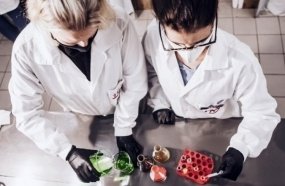 Startup catarinense usa tecnologia inovadora para detectar a bactéria salmonella 