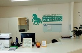 Unoesc coloca Unidade à disposição para atender animais do caso de maus-tratos
