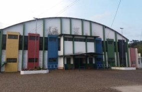 Atletas são atacados por vespas no ginásio de Água Doce