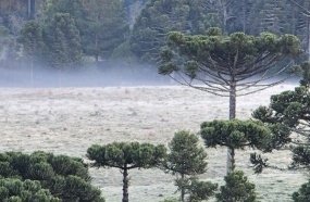 Inverno com frio típico em Santa Catarina
