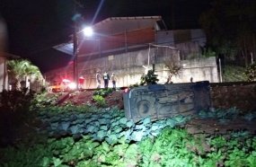 Caminhonete é abandonada após veículo capotar em uma horta