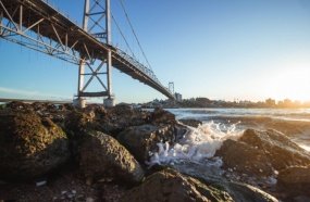 Santa Catarina se tornará o principal Estado de Jogos de Azar no Brasil?