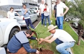 Amigos da Natureza realizam plantio de mudas para celebrar o Dia da Árvore