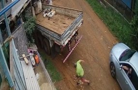Homem é assassinado a tiros na frente de casa em Caçador
