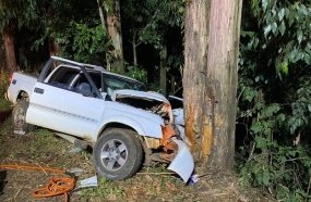 Quatro pessoas ficam feridas após caminhonete colidir contra árvores 