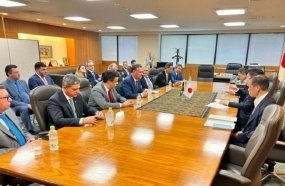 Japão aceita restringir importação de frango de municípios onde houver foco de gripe aviária