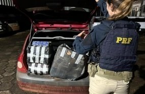 PRF apreende mais de 50 kg de maconha após perseguição na BR-282
