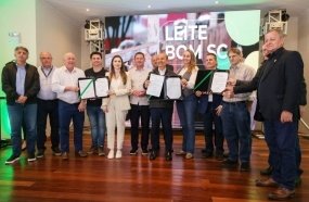 Governo lança pacote de incentivos para beneficiar produtores de leite