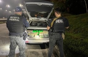 Polícia Civil e Receita Federal apreendem meia tonelada de maconha em SC