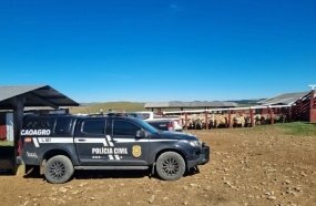 Polícia Civil apresenta números do combate aos crimes contra o agronegócio 