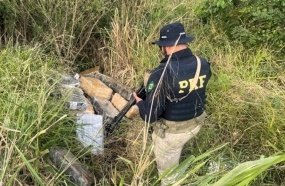 PRF localiza quase meia tonelada de maconha às margens da BR-282