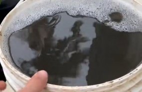 Santa Catarina registra primeira ocorrência de chuva preta