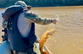 Pesca fica proibida para preservar reprodução dos peixes