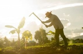 Imóveis rurais de devedores podem ser usados para reforma agrária 
