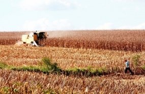 Economia de Santa Catarina é a que mais cresce entre os estados do Sul e Sudeste