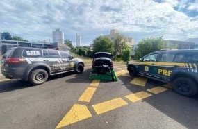 Operação conjunta intercepta carro com mais de 220 kg de drogas 