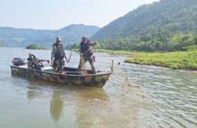 Operação Piracema registra aumento nas apreensões e prisões por pesca ilegal