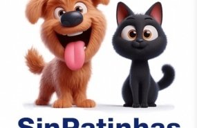 RG para cães e gatos: tire dúvidas sobre a nova ação do Governo Federal