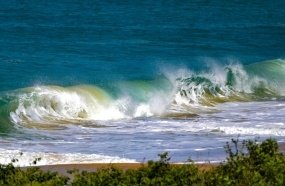 Santa Catarina tem mais de 67% das praias próprias para banho