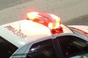 Morador encontra seu cachorro morto com ferimentos de tiros