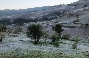 Semana começa com geada e frio atípico em Santa Catarina