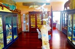 Museu Municipal de Luzerna é reaberto à visitação