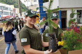 Blitz Ecológica em comemoração ao Dia da Árvore